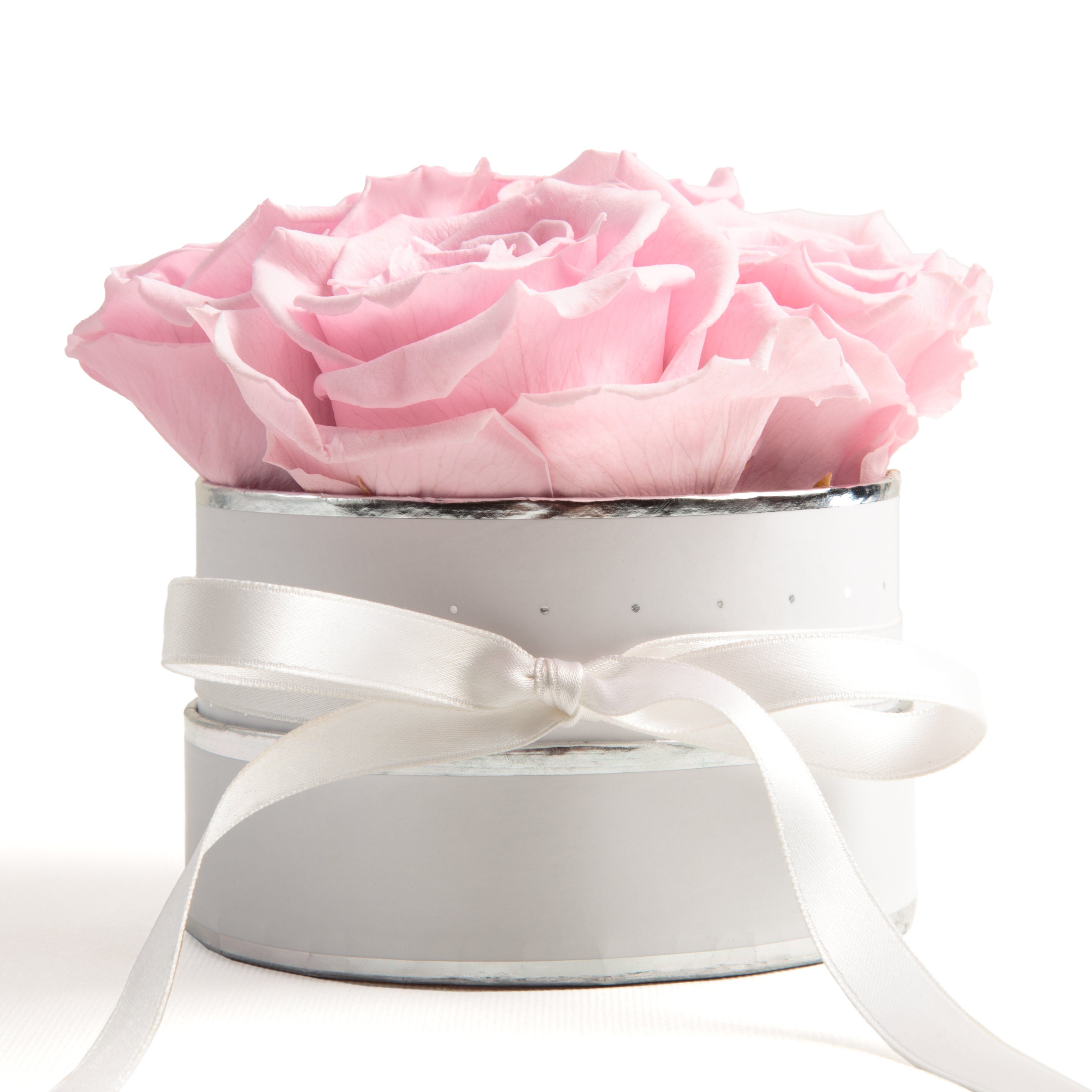 Kunstblume Infinity Rosenbox weiß rund 4 konservierte Rosen inklusiv Geschenkbox Rose, ROSEMARIE SCHULZ Heidelberg, Höhe 10 cm, echte Rosen haltbar 3 Jahre Rosa | Kunstblumen