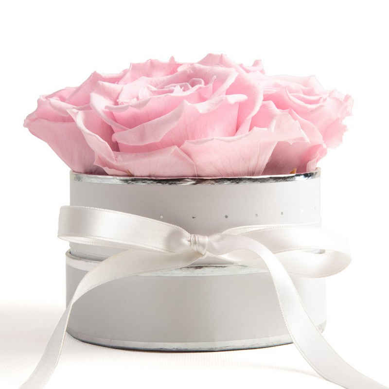 Kunstblume »Infinity Rosenbox weiß rund 4 haltbare konservierte echte Rosen Geschenk zum Muttertag« Rose, ROSEMARIE SCHULZ Heidelberg, Höhe 10 cm, Echte konservierte Rosen