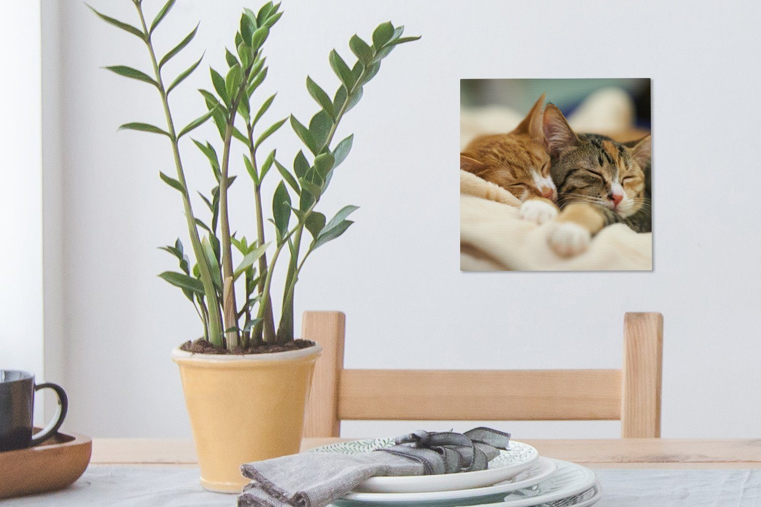 Wohnzimmer - OneMillionCanvasses® Leinwandbild Leinwand Katzen - Schlafen Schlafzimmer Bilder (1 St), Vorleger, für