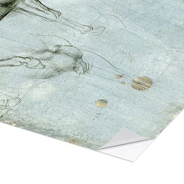 Posterlounge Wandfolie Leonardo da Vinci, Studie von Pferden, Klassenzimmer Malerei