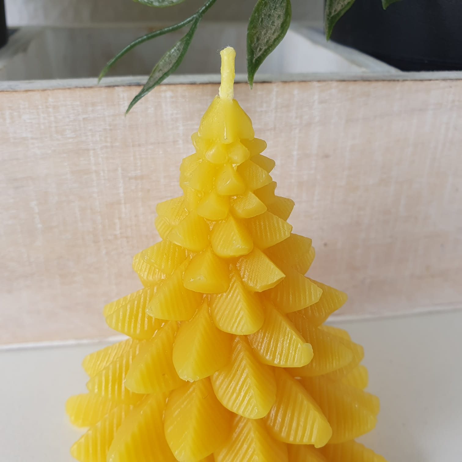 Aspinaworld Formkerze Tannenbaum Kerze 8 cm – Kerze aus Bienenwachs