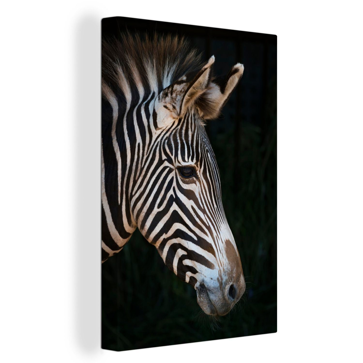 OneMillionCanvasses® Leinwandbild Nahaufnahme eines Zebras auf schwarzem Hintergrund, Fotodruck (1 St), Leinwand Canvas Wandbild, Wanddekoration 20x30 cm