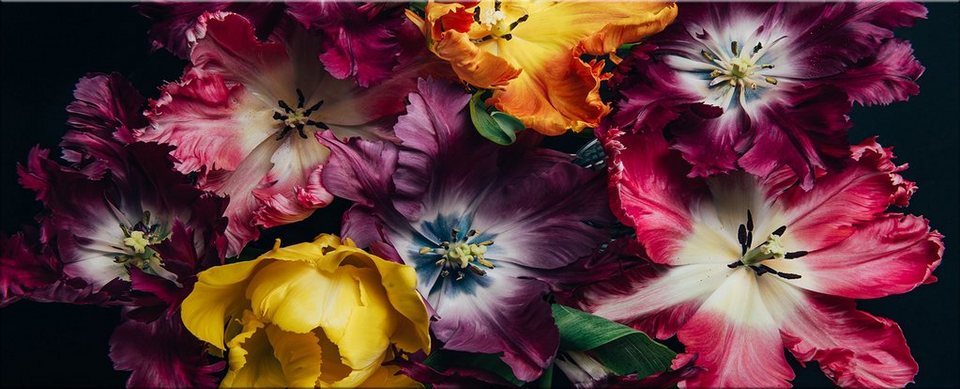 Bild Blüten: Tulpen XXL 125x50 artissimo Bunt, Glasbild und Glasbild groß bunte Glas aus Vintage-Blumen cm Blumen