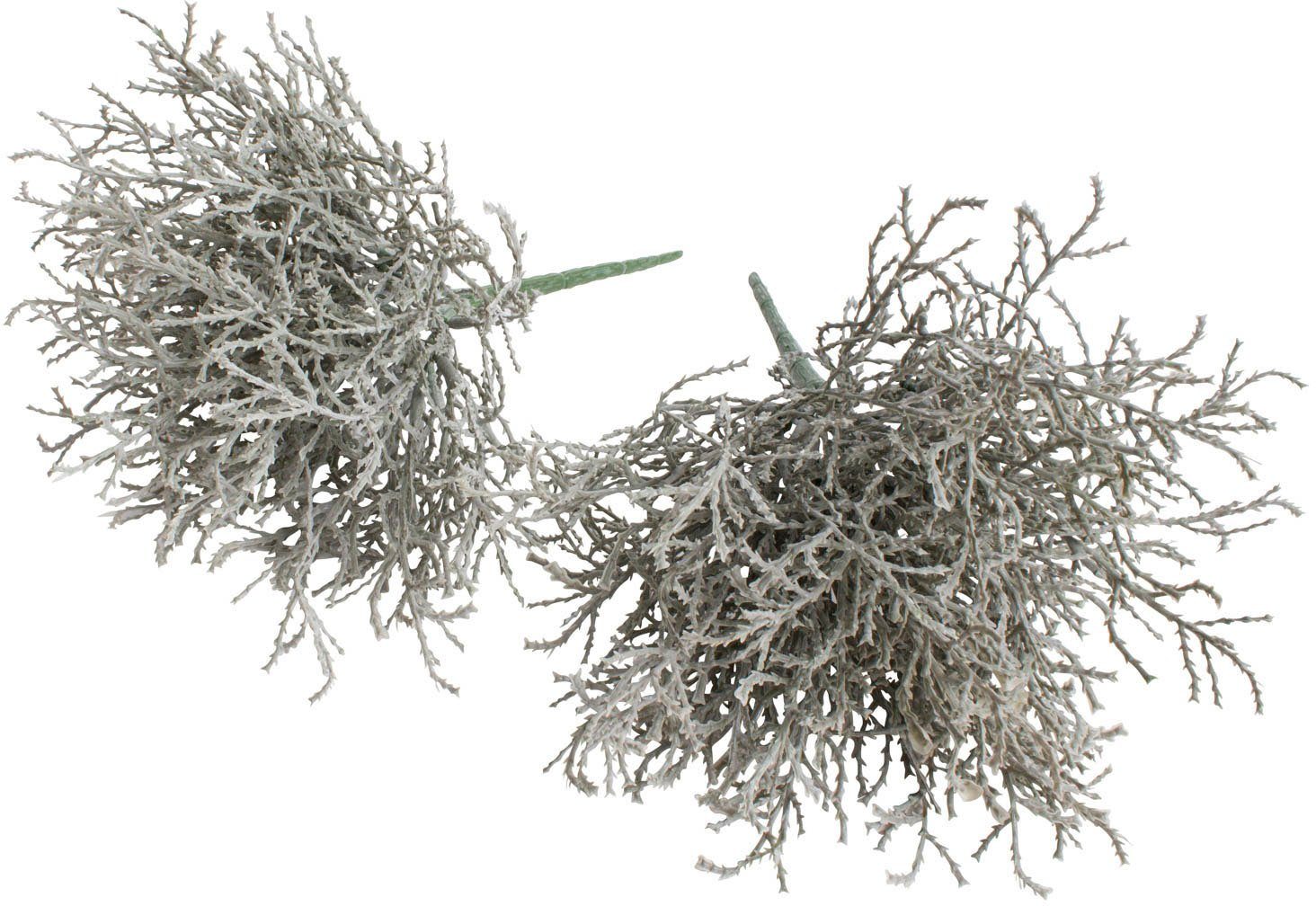 Kunstzweig Calocephalus (Silberkörbchen), Botanic-Haus, Höhe 22 cm günstig online kaufen