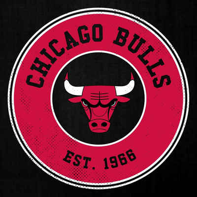 Quattro Formatee Hoodie Chicago Bulls - Basketball NBA Team Basketballer (1-tlg)
