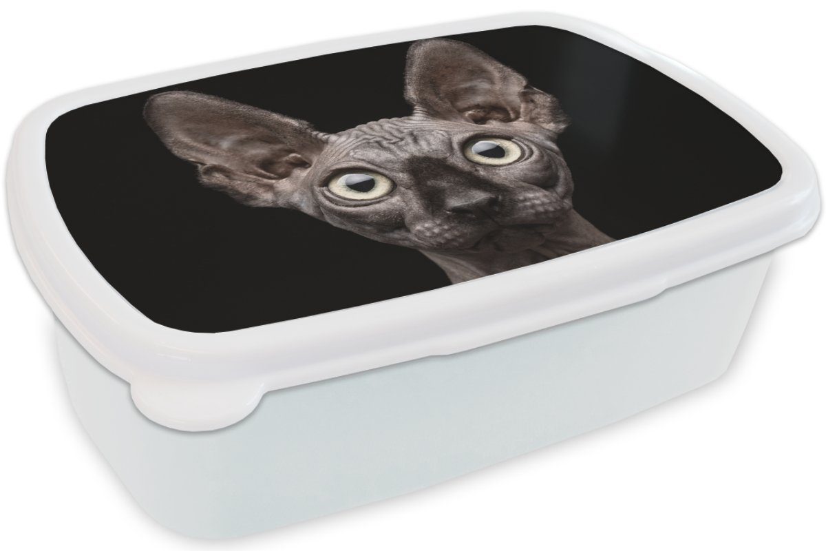 Katze Mädchen für Brotbox - - Erwachsene, - Lunchbox und für Kunststoff, Schwarz, weiß und Porträt MuchoWow (2-tlg), Kinder Jungs Brotdose, Haustiere