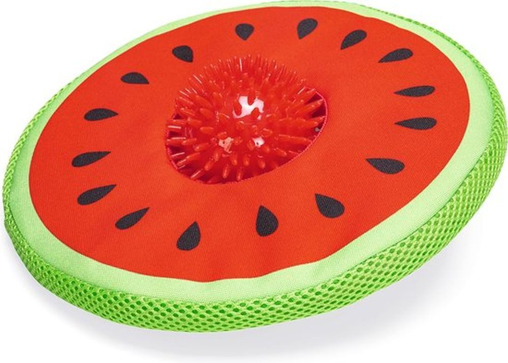 Beeztees Outdoor-Spielzeug Neopren Hundespielzeug Frisbee schwimmfähig günstig online kaufen