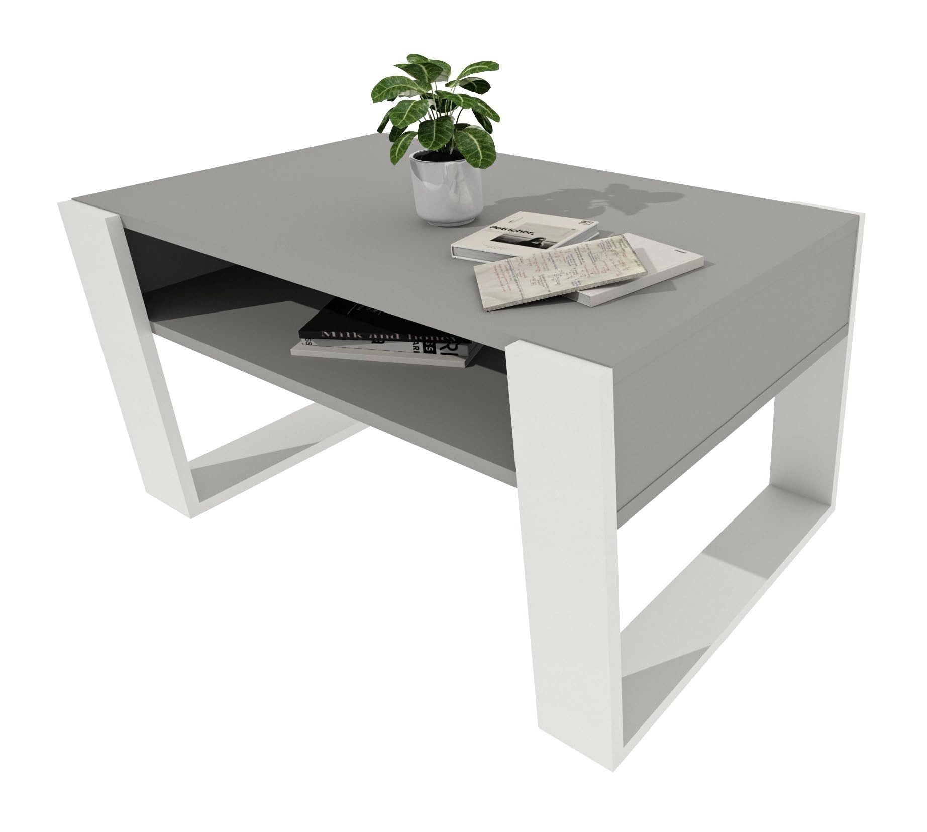 TREND WERK Couchtisch mit zusätzlicher Ablagefläche (65×53,6×45 cm - Wohnzimmertisch, Loft-Design, Ablagefach)