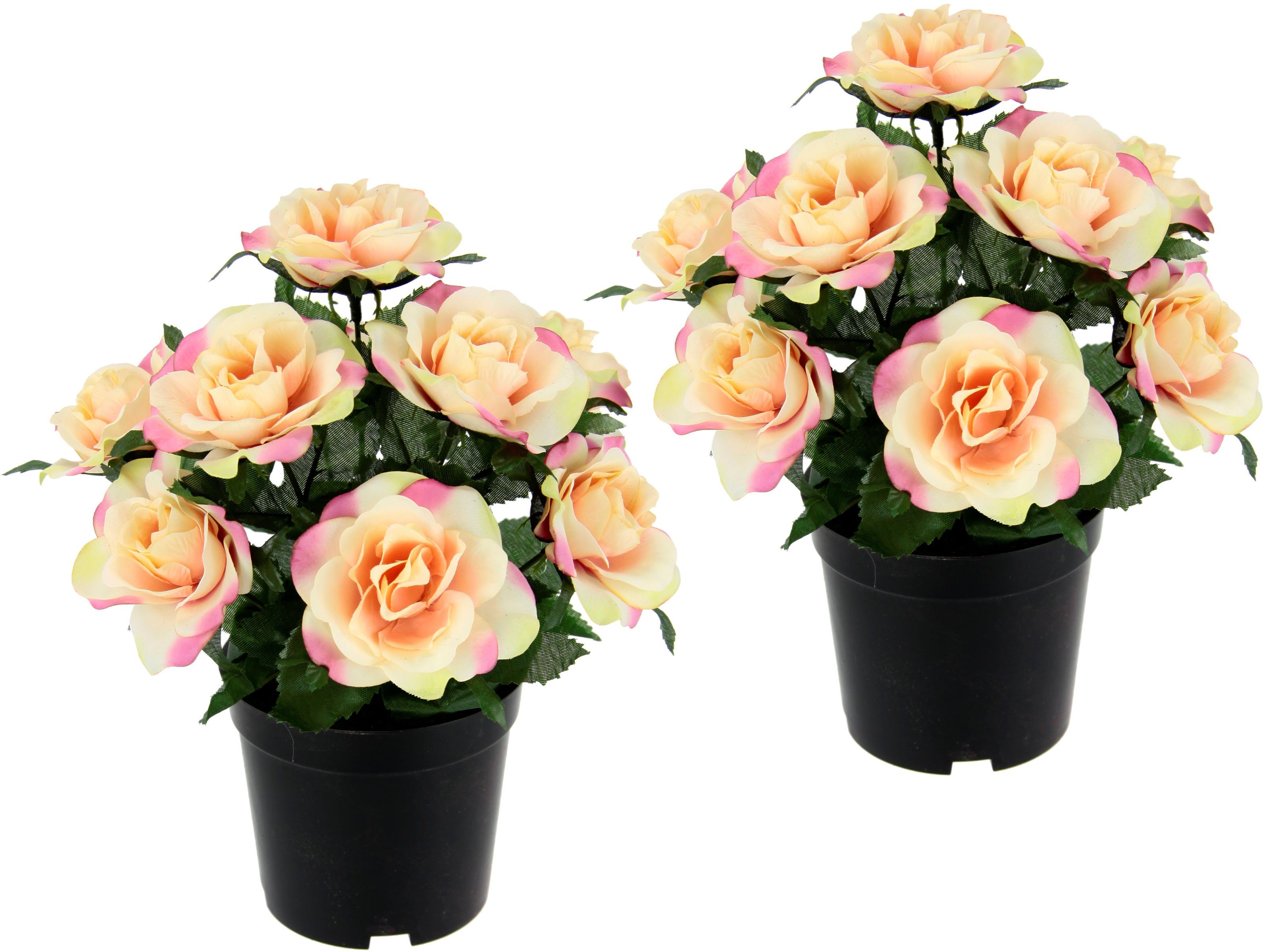 Kunstblume Rosen im Topf, I.GE.A., Höhe 25 cm, 2er Set