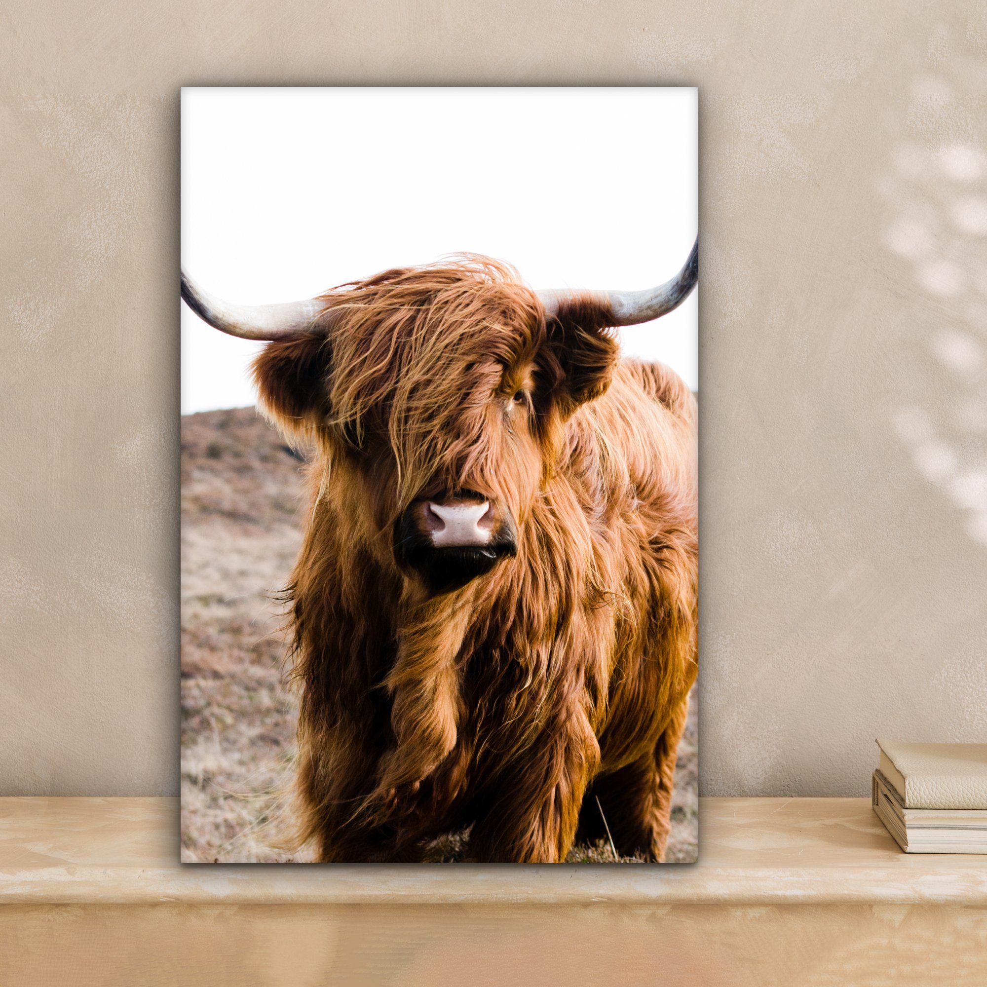 OneMillionCanvasses® Leinwandbild Schottische Highlander - Landschaft - Kuh günstig online kaufen