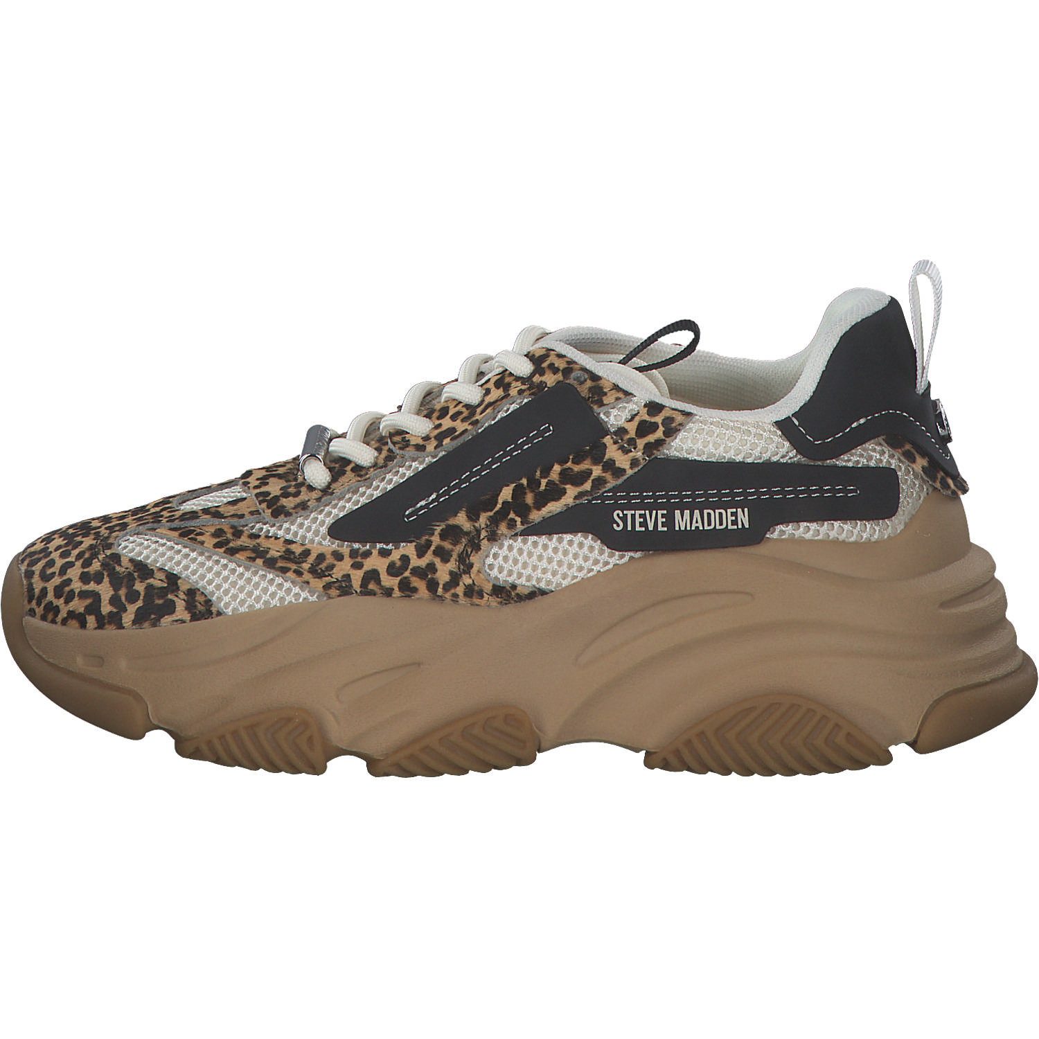 STEVE MADDEN SM19000123-702 Posessionl-E Schnürschuh günstig online kaufen