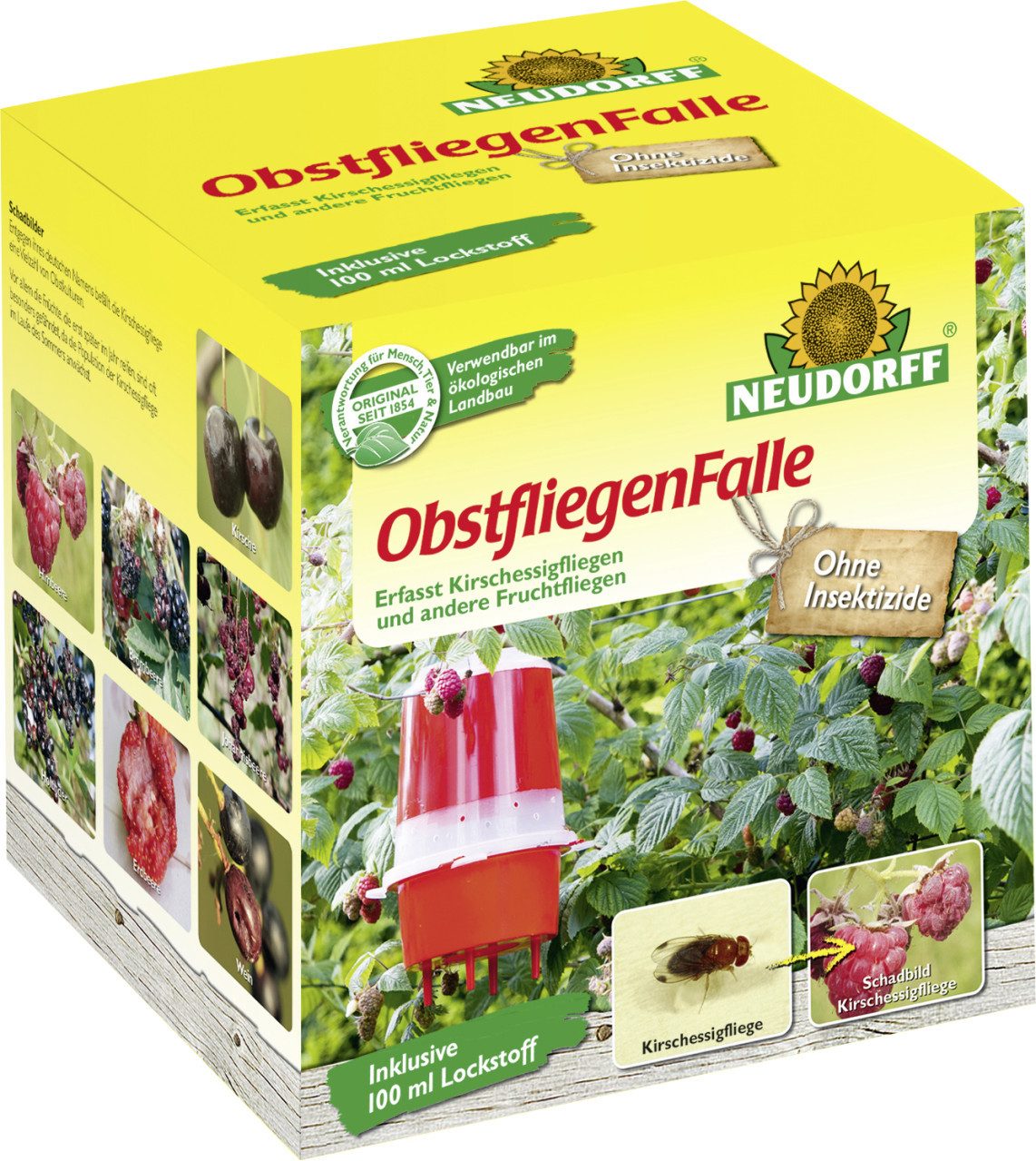 Insektenfalle Permanent Obstfliegenfalle 1 Stück