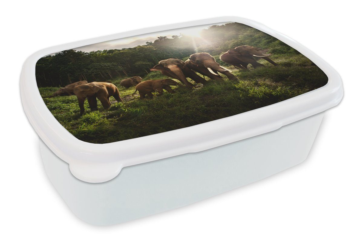 MuchoWow Lunchbox Wald - Elefanten - Licht, Kunststoff, (2-tlg), Brotbox für Kinder und Erwachsene, Brotdose, für Jungs und Mädchen weiß