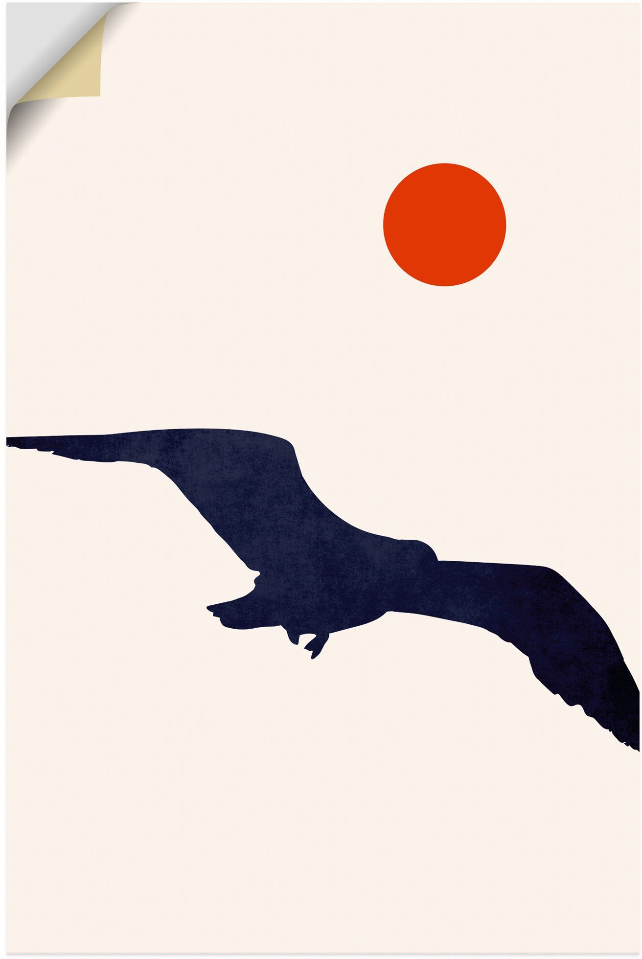Größen St), (1 Möwe, versch. Artland Poster in Wandaufkleber als Wandbild Leinwandbild, oder Alubild, Vogelbilder