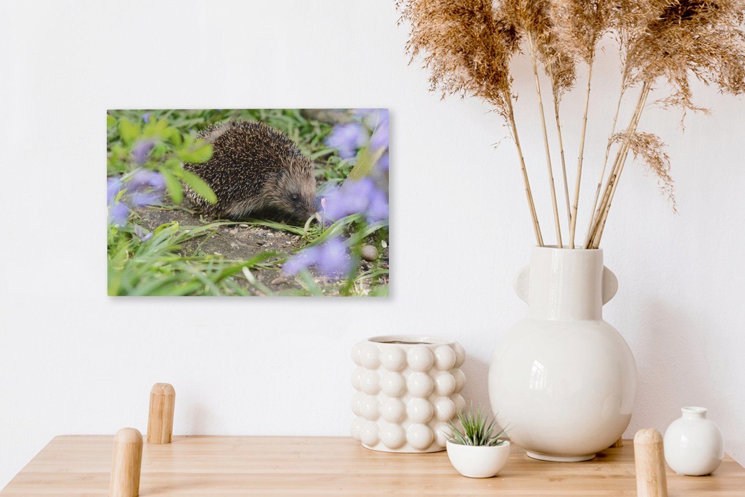 hinter 30x20 Wandbild Wanddeko, cm Igel (1 Aufhängefertig, Blumen, Leinwandbild Leinwandbilder, OneMillionCanvasses® St),