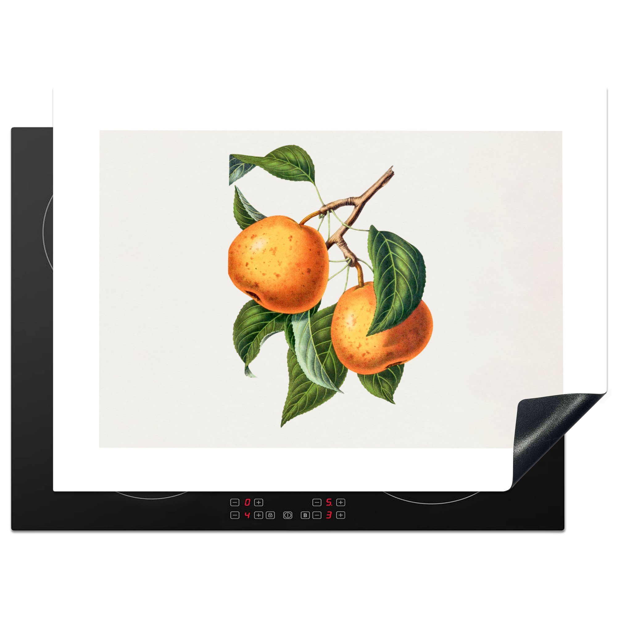 MuchoWow Herdblende-/Abdeckplatte Orangen - Zweig - Lebensmittel, Vinyl, (1 tlg), 71x52 cm, Induktionskochfeld Schutz für die küche, Ceranfeldabdeckung