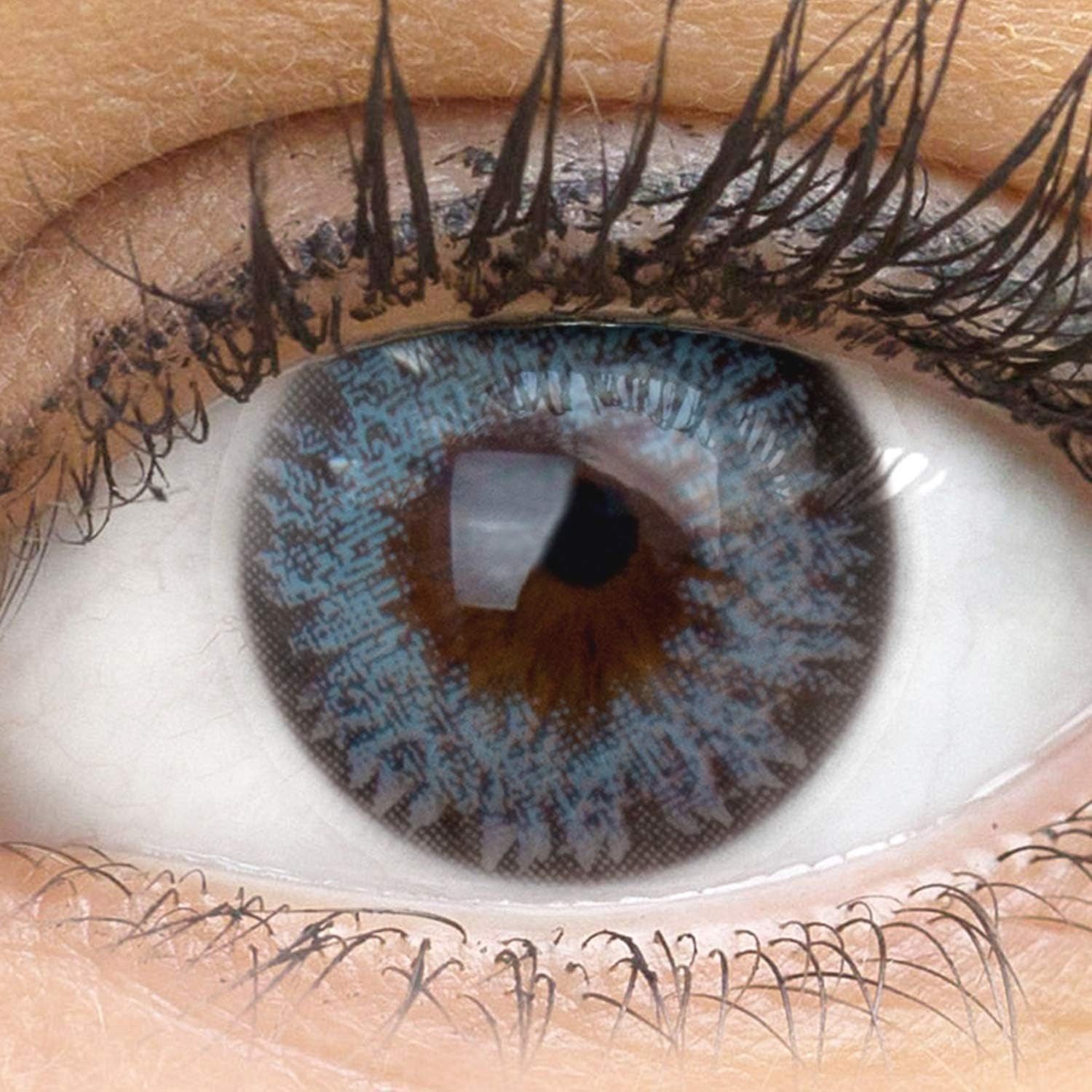 GLAMLENS Monatslinsen Sehr stark deckende und natürliche blaue Linsen "Palermo Blue"