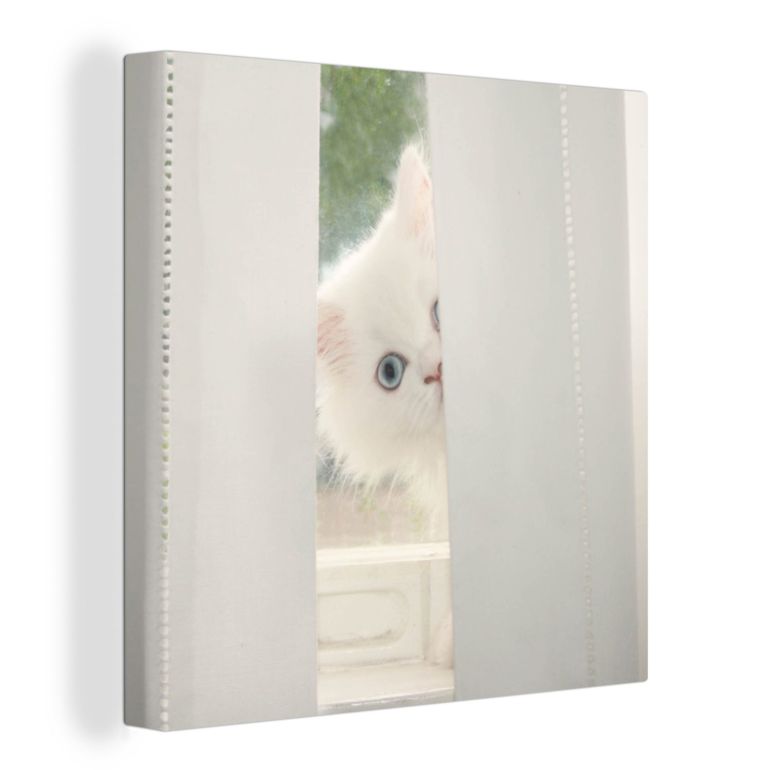 OneMillionCanvasses® Leinwandbild Weiße Perserkatze mit blauen Augen schaut durch den Vorhang, (1 St), Leinwand Bilder für Wohnzimmer Schlafzimmer