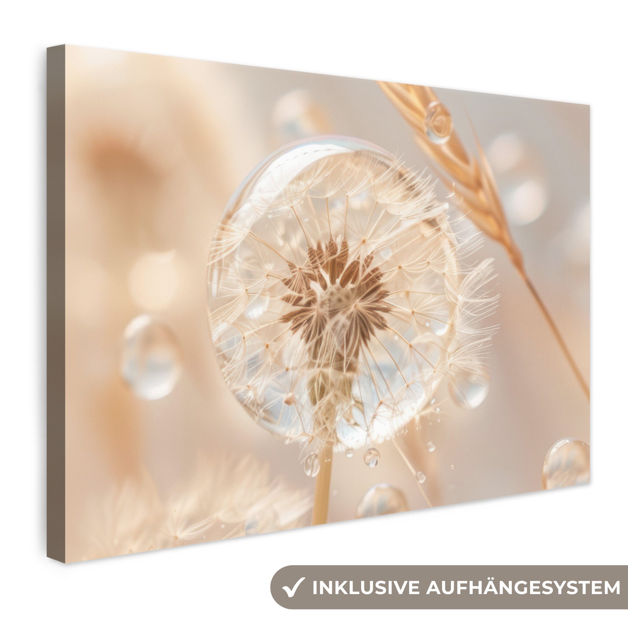 OneMillionCanvasses® Leinwandbild Löwenzahn - Wasser - Natur - Stillleben - Modern, Fotodruck (1 St), Leinwand Bilder Klein, Wand Dekoration Aesthetic 30x20 cm