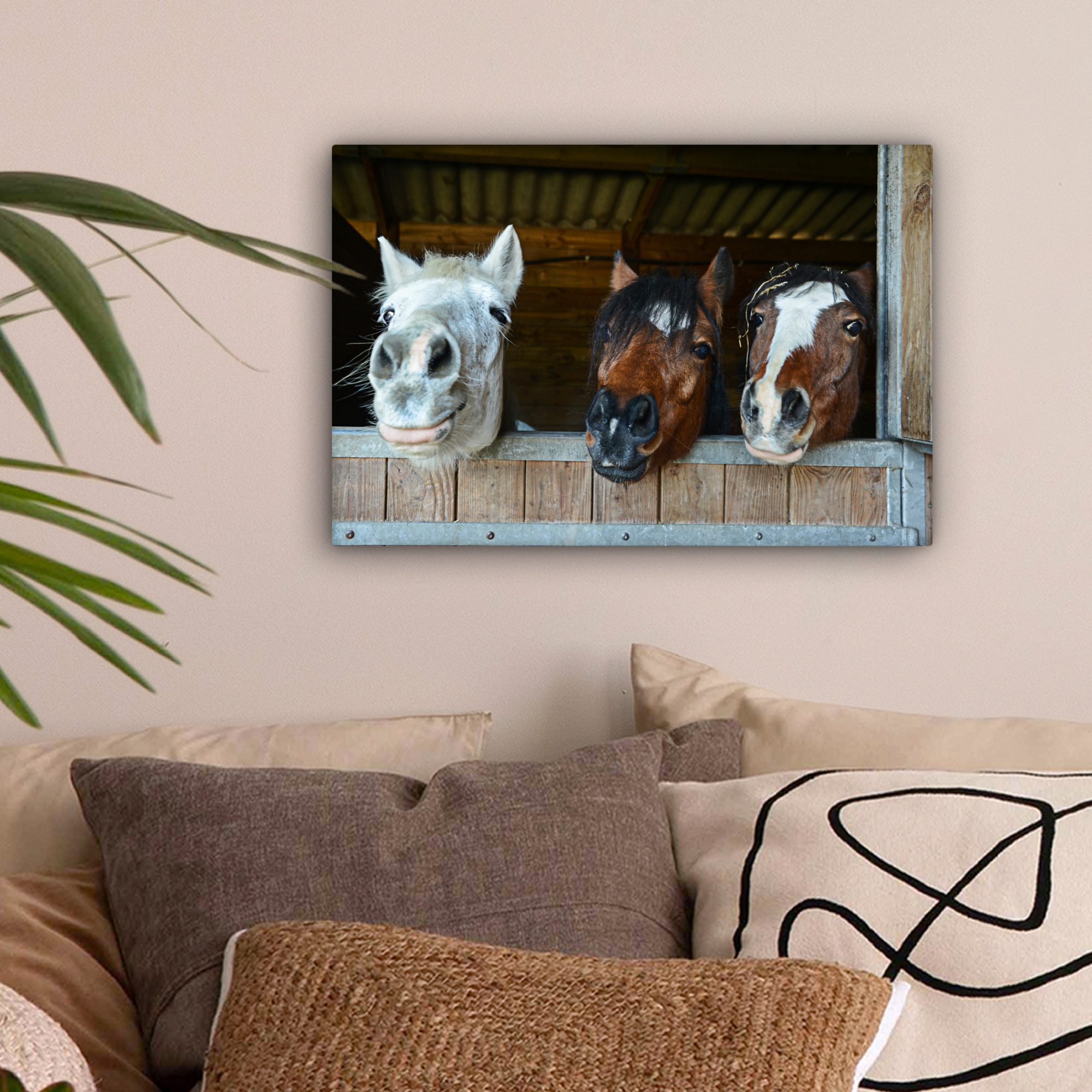 OneMillionCanvasses® Leinwandbild Pferde - Tiere - günstig online kaufen