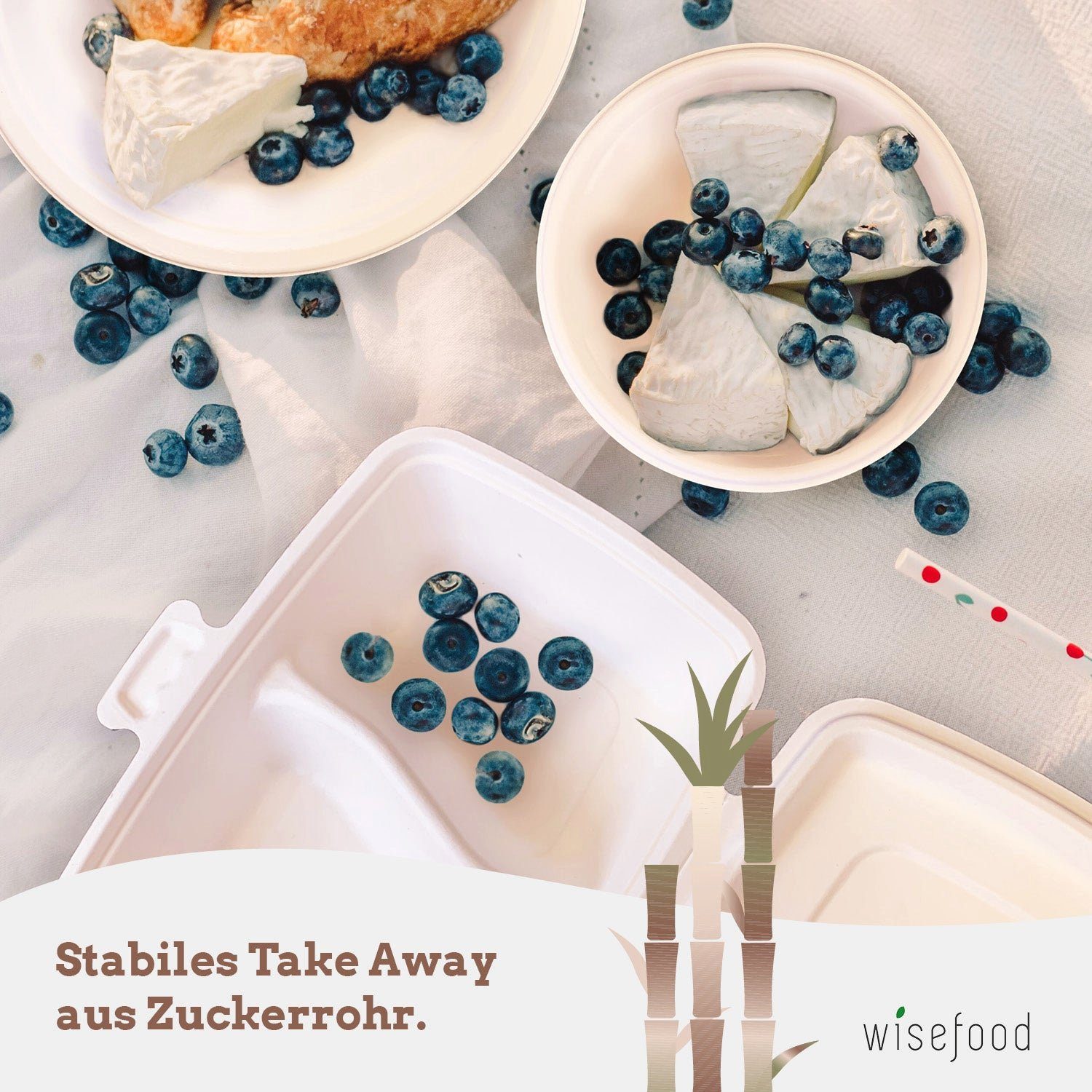 wisefood Einwegteller Bagasse Teller - 17cm (rund, weiß), (50 St)