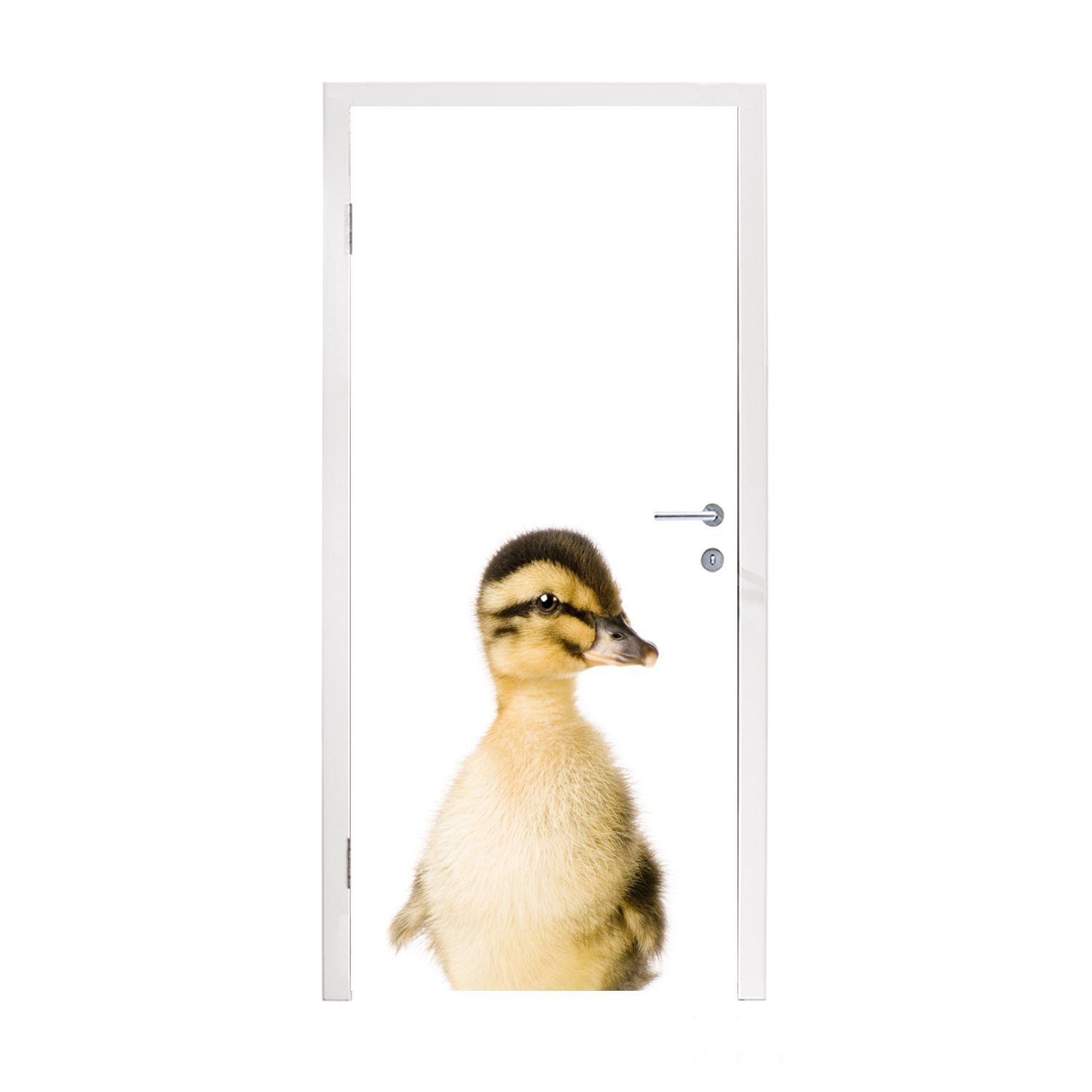 MuchoWow Türtapete Ente - Gelb - Tiere - Natur, Matt, bedruckt, (1 St), Fototapete für Tür, Türaufkleber, 75x205 cm