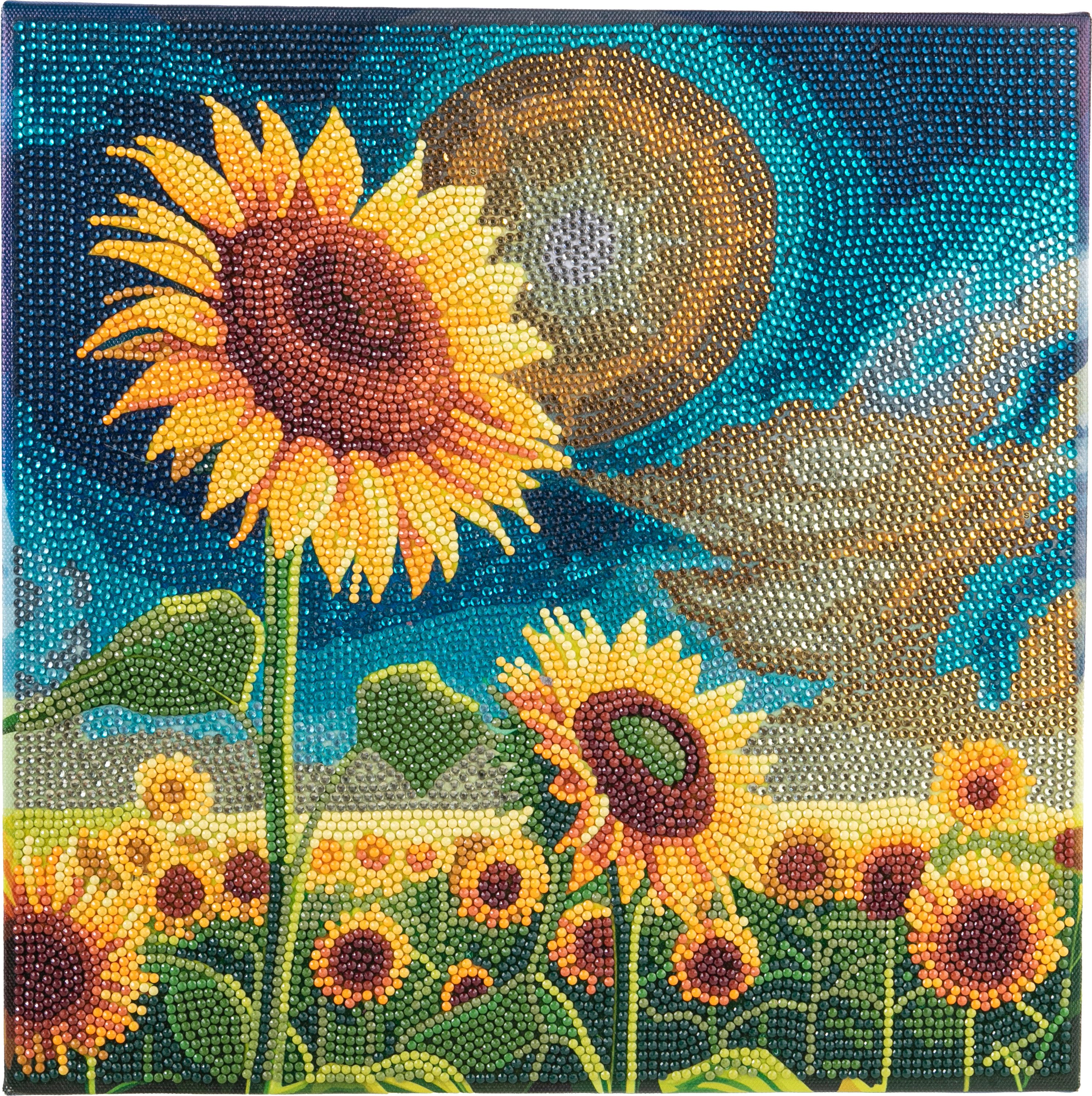 CRAFT Buddy Malvorlage Diamond Painting Crystal Art Kit, 30x30cm