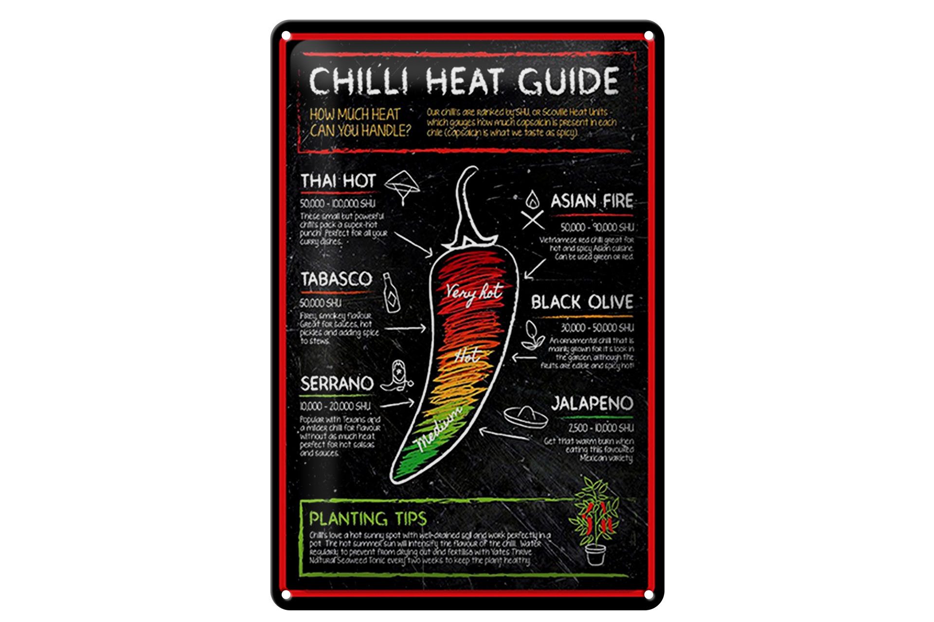 Metallschild Schild Blech 20x30cm - Made in Germany - Essen Chilli heat guide asian