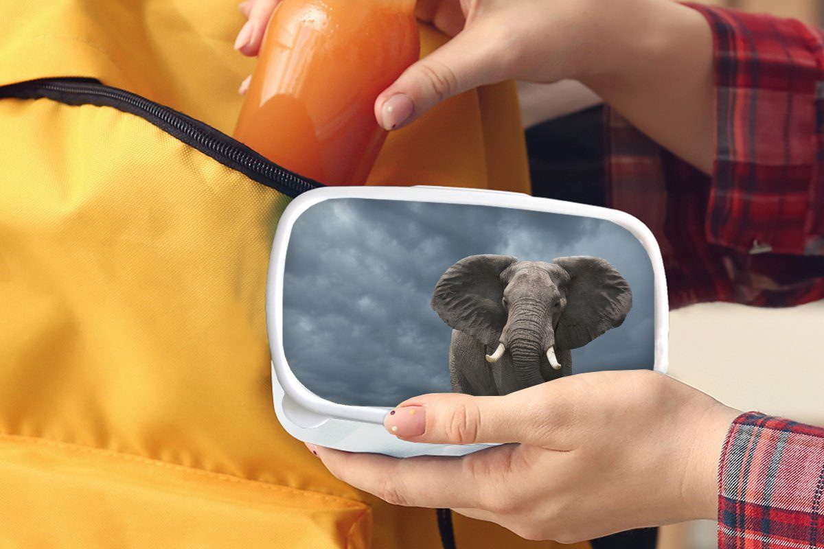 Natur, MuchoWow Kunststoff, weiß Lunchbox Wolken Brotdose, und Kinder Tiere - - (2-tlg), Jungs für - Elefant Erwachsene, und Mädchen Brotbox für