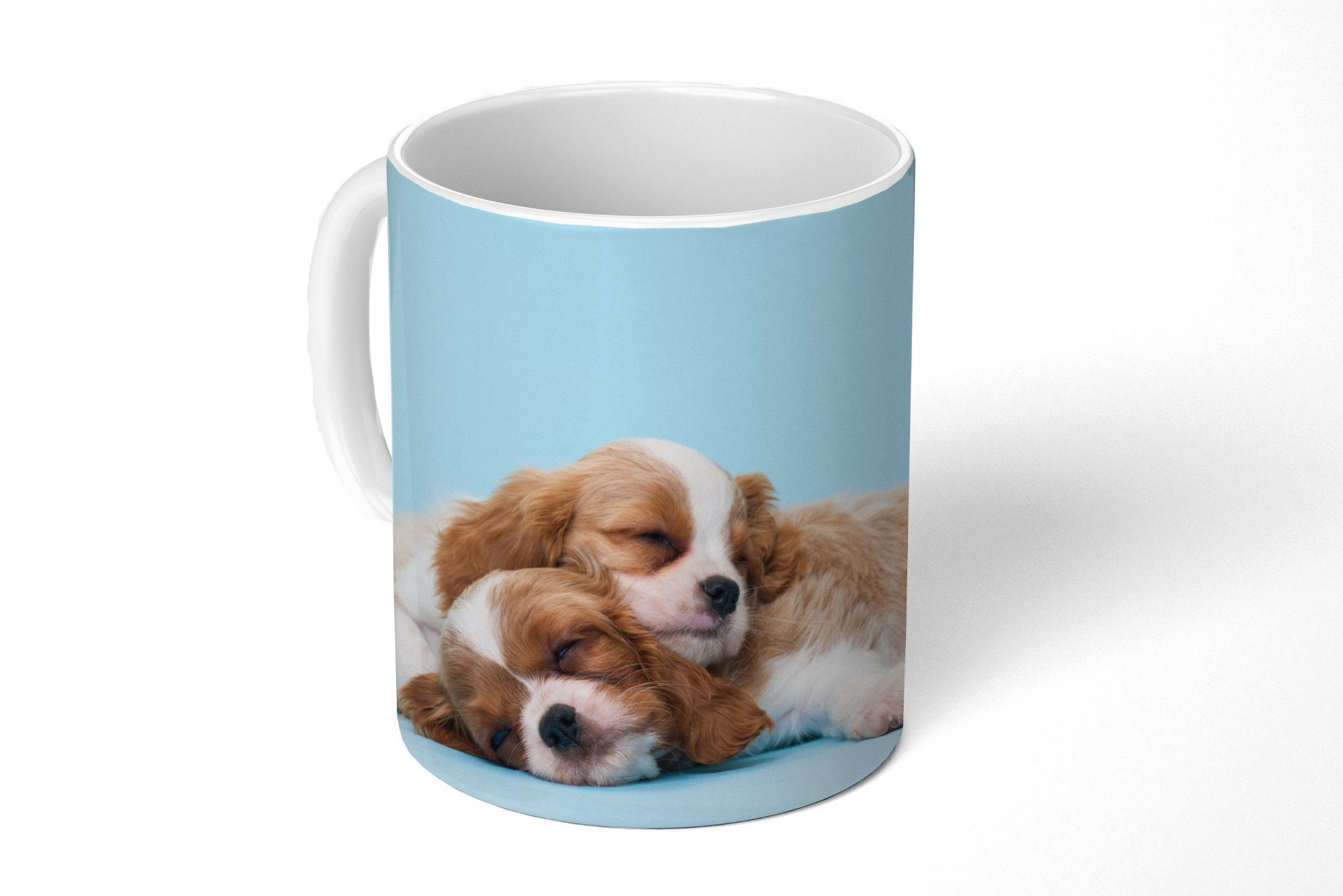 schlafen aufeinander, MuchoWow Becher, King Kaffeetassen, Teetasse, Cavalier Charles Zwei Spaniels Keramik, Teetasse, Tasse Geschenk