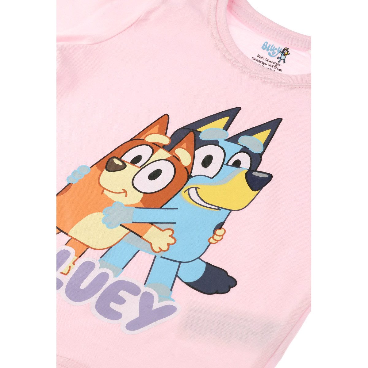 Bluey Langarmshirt Bluey & Bingo Mädchen Pullover, Sweatshirt, Pulli, Shirt, Longsleeve