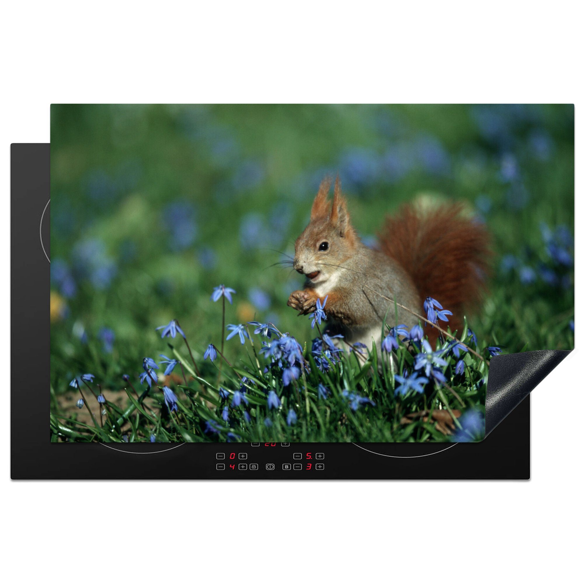 MuchoWow Herdblende-/Abdeckplatte Eichhörnchen - Schutz die - (1 küche, Ceranfeldabdeckung Blumen für Vinyl, Induktionskochfeld tlg), cm, 81x52 Blau