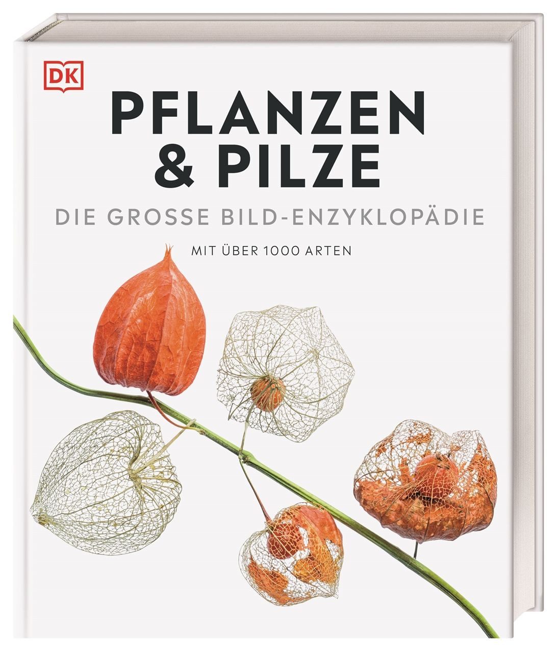 DK Bibliothek. Pflanzen & Pilze / Lynne Boddy, Chris Clennett, John Farndon, Tim Harris, Sarah Jose, Die große Bild-Enzyklopädie mit über 1000 Arten