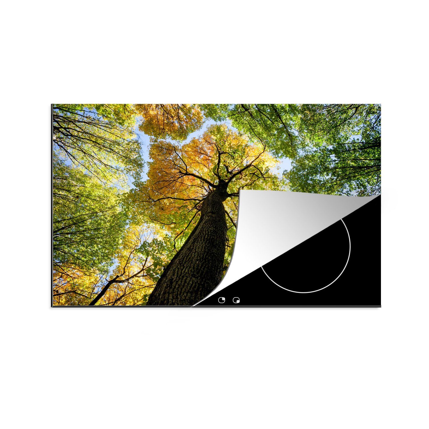 MuchoWow für Wald, Ceranfeldabdeckung - 80x52 Baum Natur cm, die küche, tlg), (1 Induktionskochfeld Schutz - Herdblende-/Abdeckplatte Vinyl,