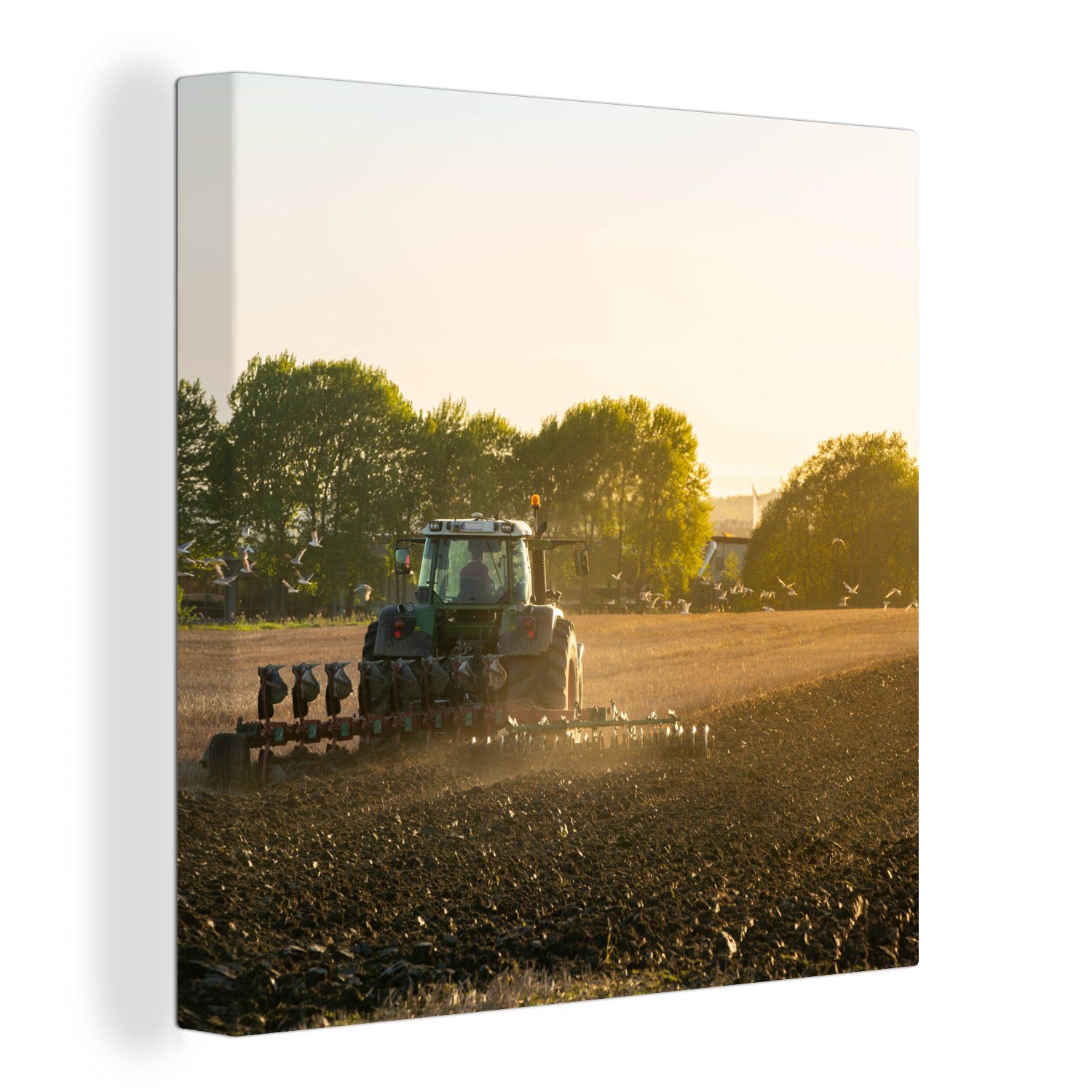 OneMillionCanvasses® Leinwandbild Traktor - Vogel - Land, (1 St), Leinwand Bilder für Wohnzimmer Schlafzimmer