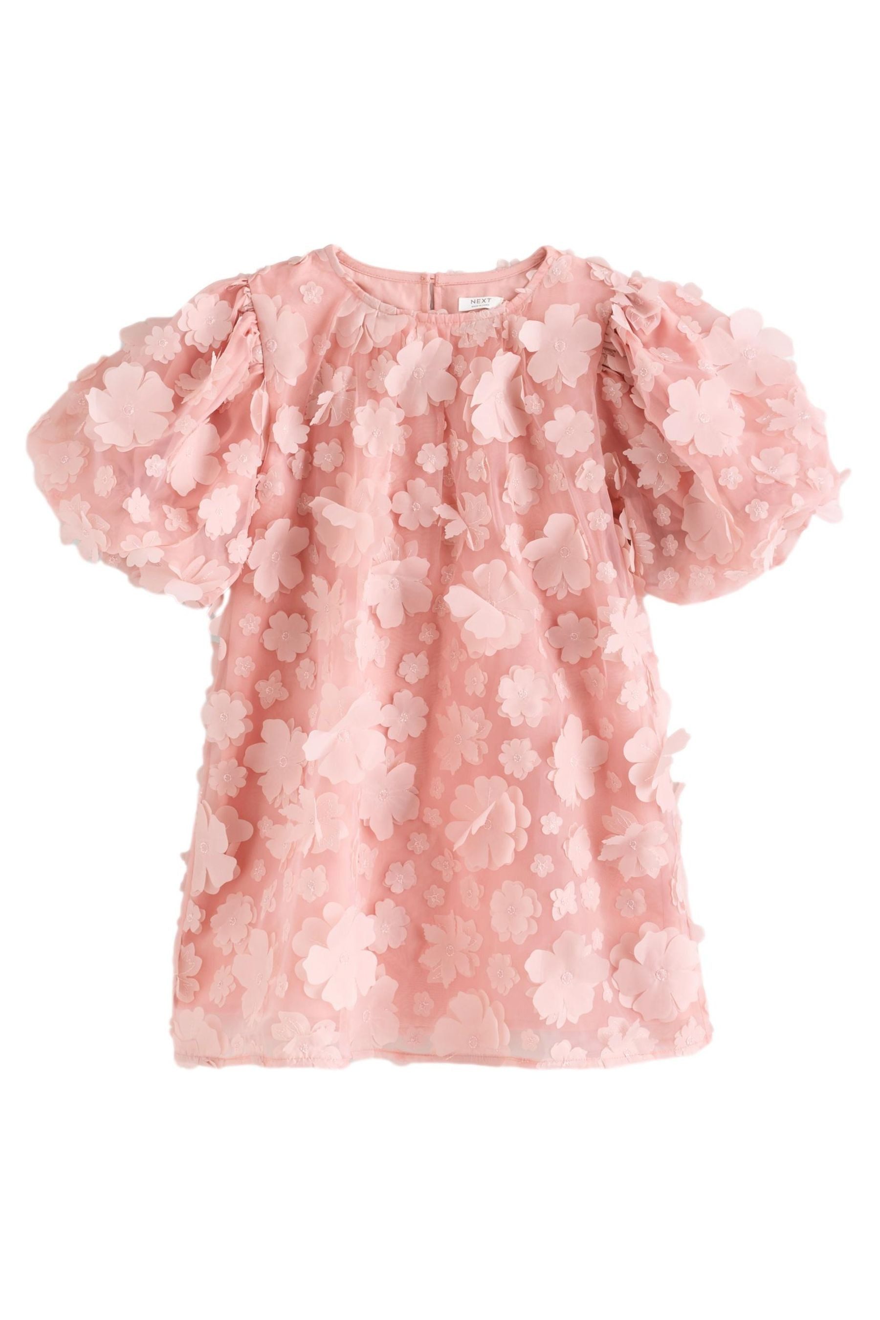 Next Partykleid Festliches Kleid mit plastischem Blumenmuster (1-tlg)