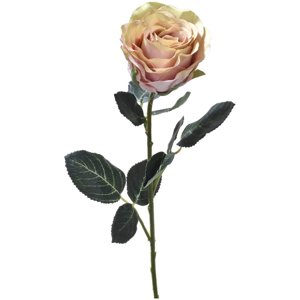 Kunstblume Rose Madame Stielrose 37 cm, 37 altrosa cm Höhe Kunstpflanze Rosen, Stk matches21 HOME HOBBY, Indoor & 1