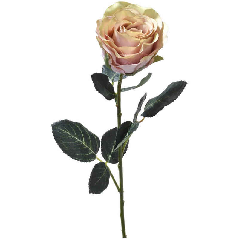 Kunstblume Rose Madame Stielrose Kunstpflanze 37 cm 1 Stk altrosa Rosen, matches21 HOME & HOBBY, Höhe 37 cm, Indoor