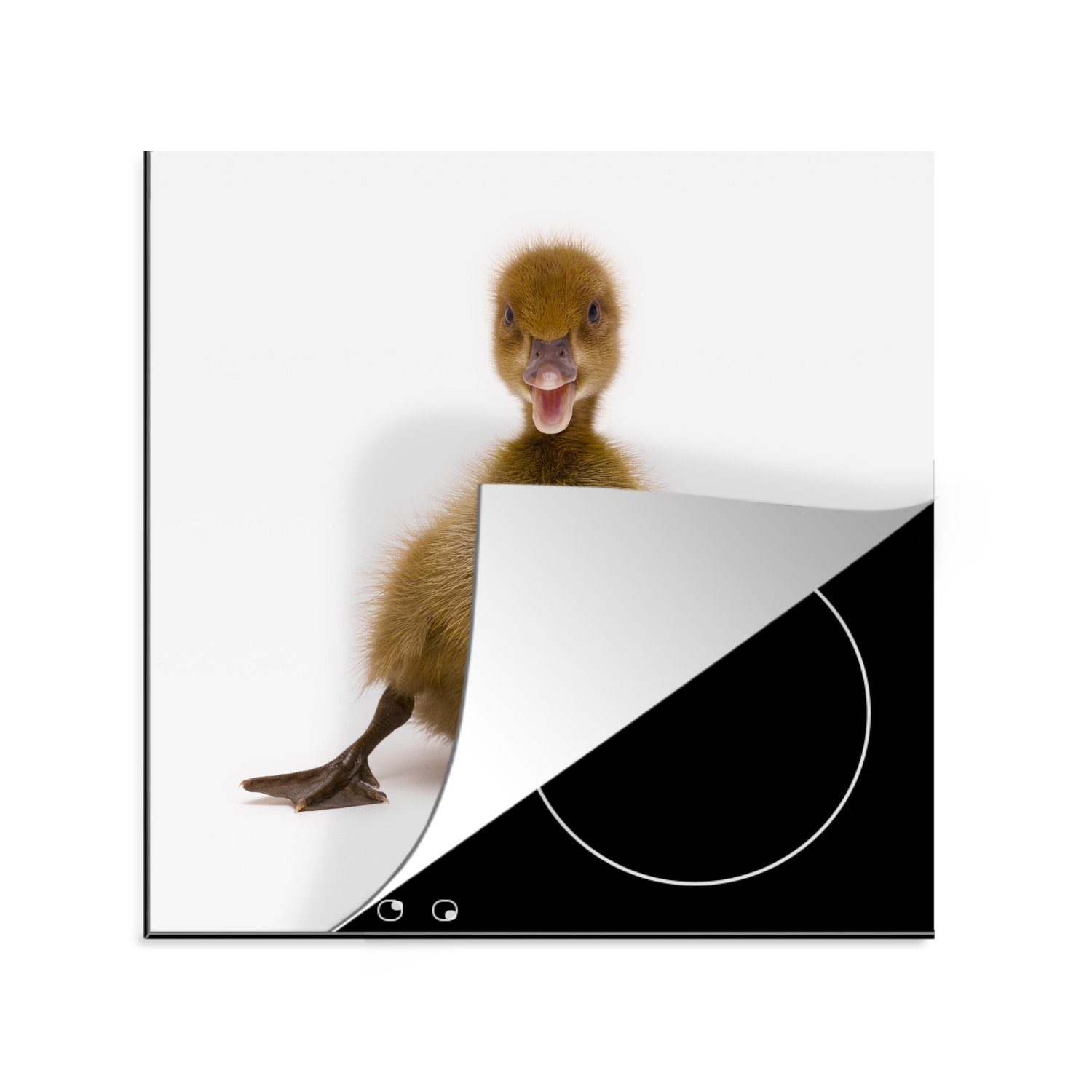 MuchoWow Herdblende-/Abdeckplatte Entenbaby posiert, Vinyl, (1 tlg), 78x78 cm, Ceranfeldabdeckung, Arbeitsplatte für küche