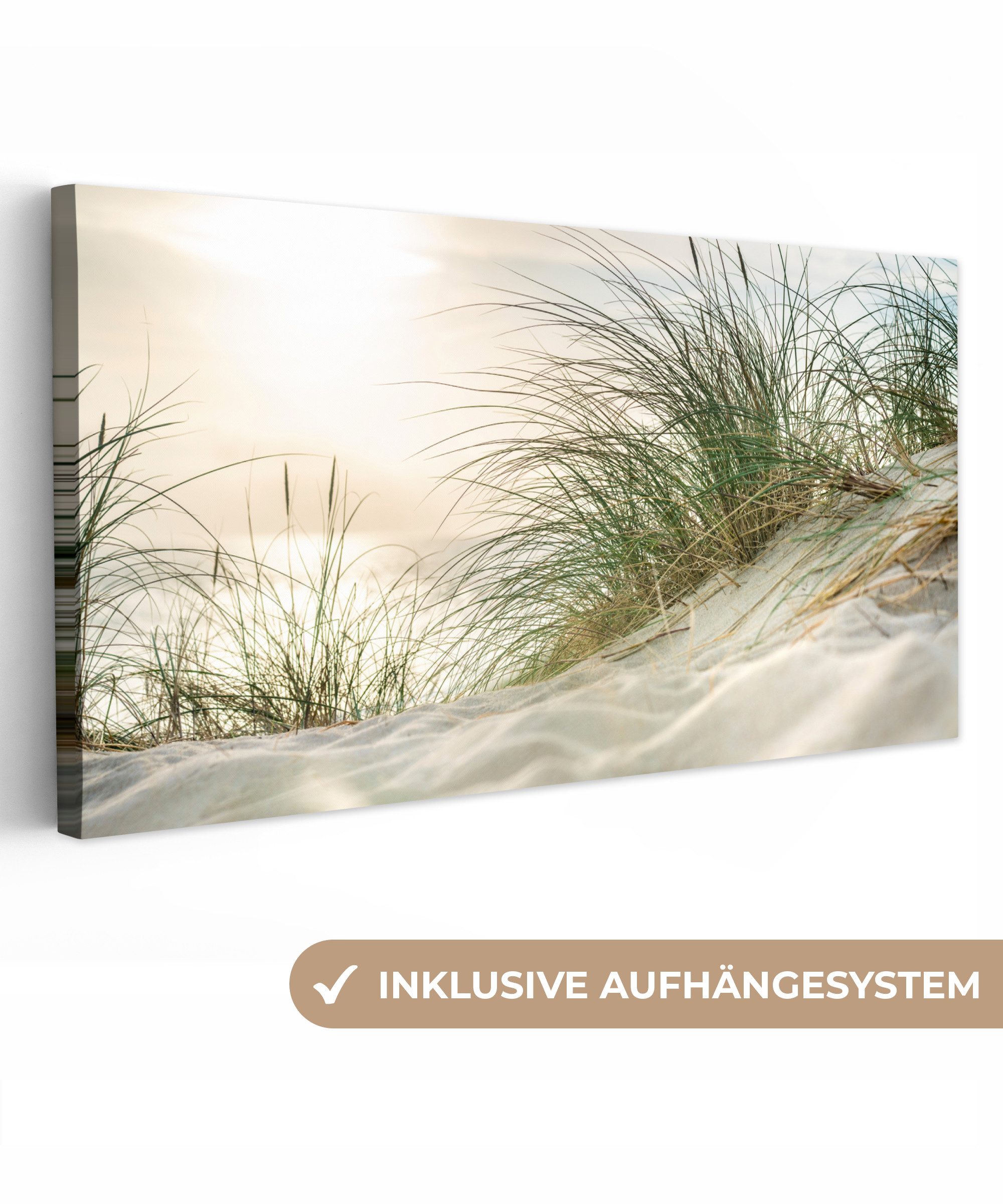 OneMillionCanvasses® Leinwandbild Panorama Dünen mit Strandhafer günstig online kaufen