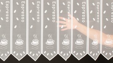 Scheibengardine nach Maß Espresso, Gardinen Kranzusch, Stangendurchzug, transparent, Kurzgardine, Wunschmaß, Stablöcher, transparent, verschiedene Höhen und Farben