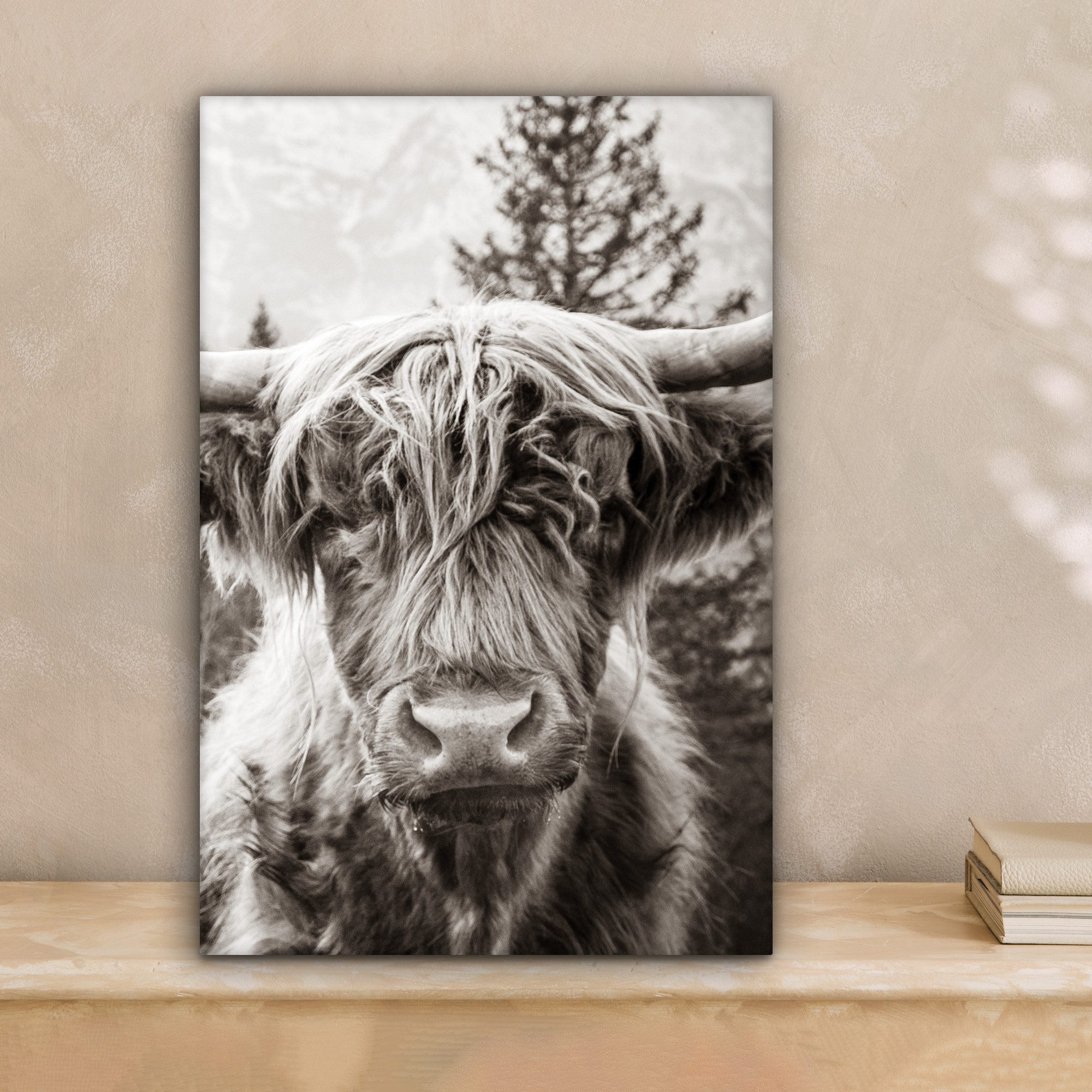 OneMillionCanvasses® Leinwandbild Schottischer Highlander - Kuh - Tiere - S günstig online kaufen