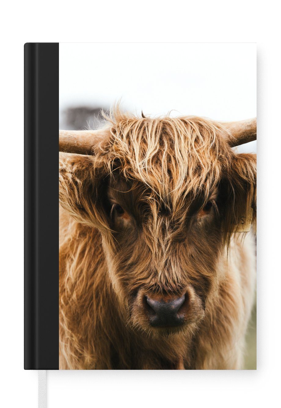 MuchoWow Notizbuch Schottischer Highlander - Kuh - Gras - Tiere - Natur, Journal, Merkzettel, Tagebuch, Notizheft, A5, 98 Seiten, Haushaltsbuch