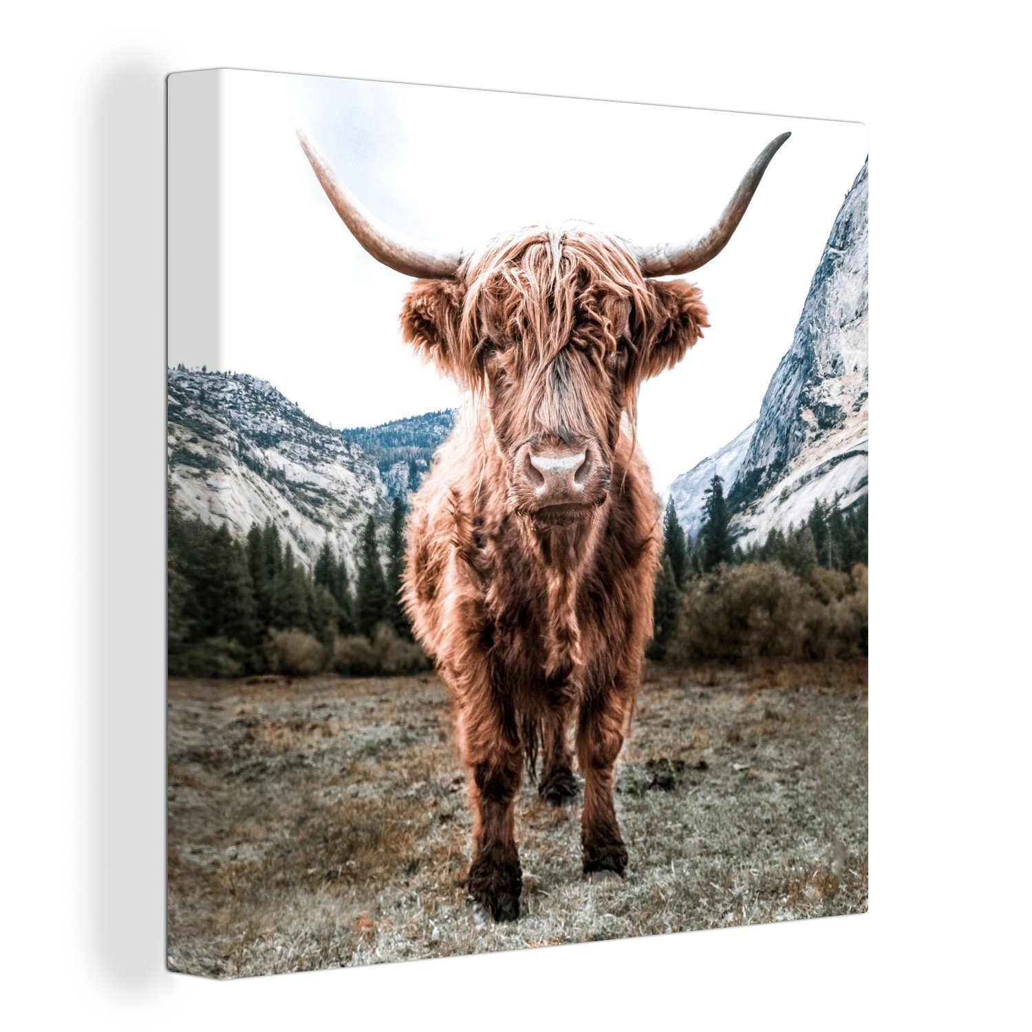 Highlander Bilder (1 St), Schlafzimmer Leinwand Leinwandbild - OneMillionCanvasses® Wohnzimmer Berg für - Schottischer Tiere,