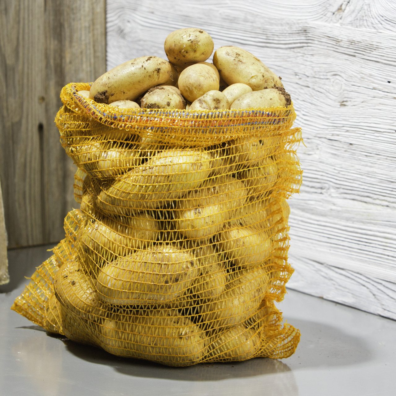 Windhager Anzuchttopf Windhager Netzsäcke 50 x 80 cm, 10 Stück