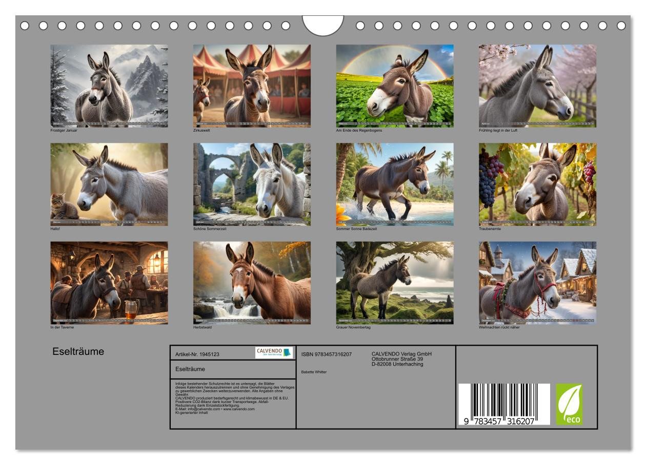 Thumbnail - CALVENDO Wandkalender Eselträume (Wandkalender 2026 DIN A4 quer), CALVENDO Monatskalender