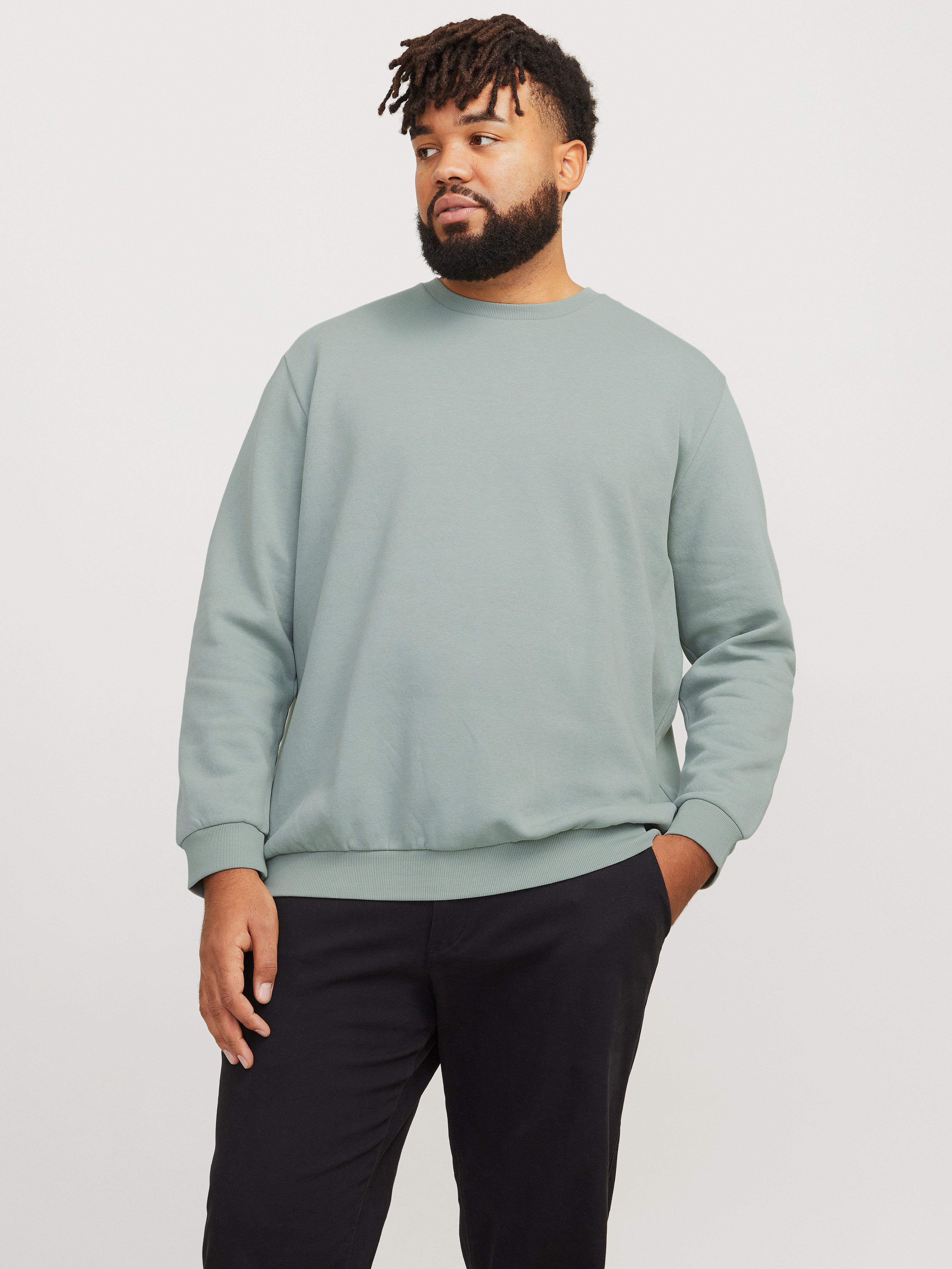 Sweatshirt JJEBRADLEY SWEAT CREW NOOS PLS