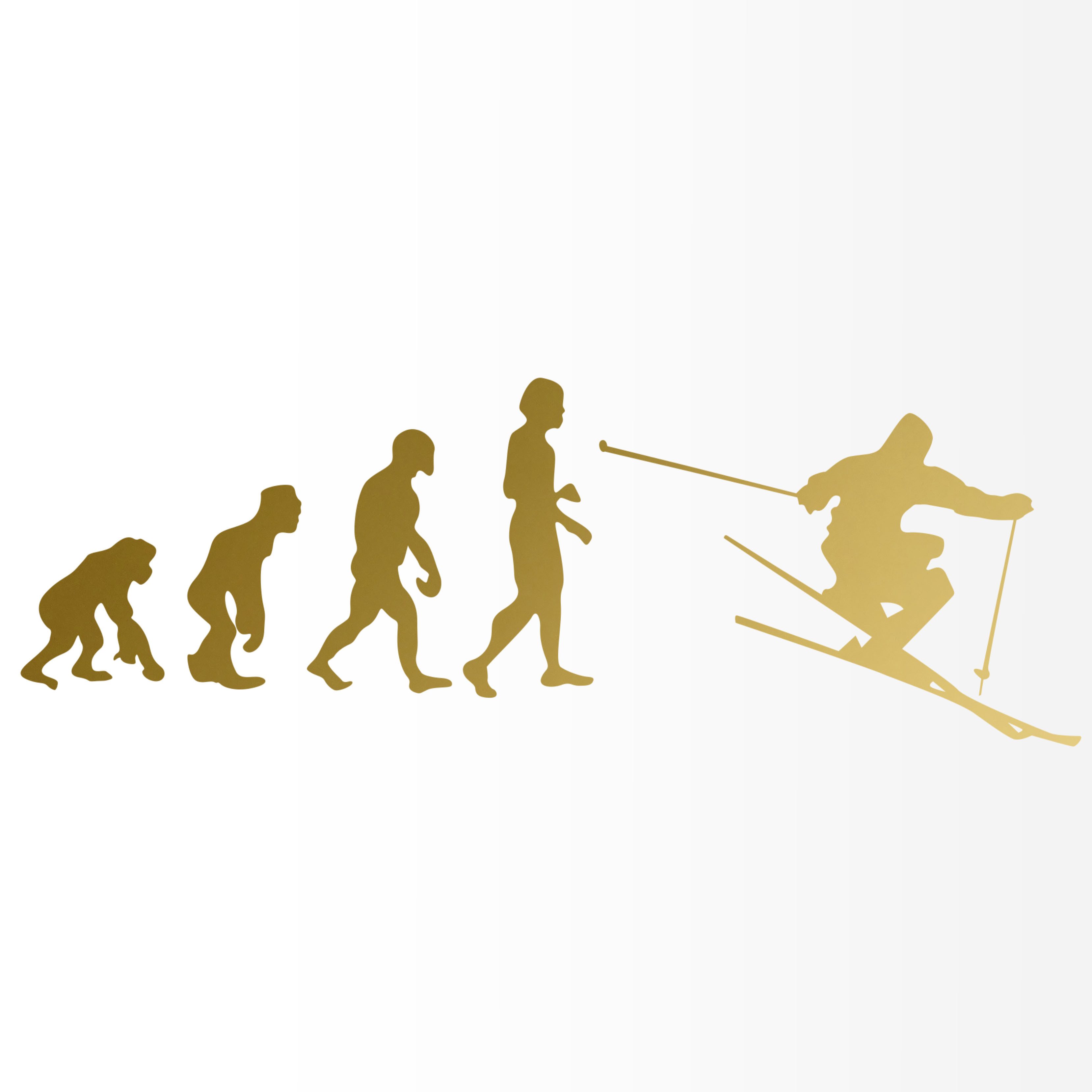 Nomiro Aufkleber Evolution Ski alpin 190 x 60 mm, (1tlg), konturgeschnitten, ohne Hintergrund