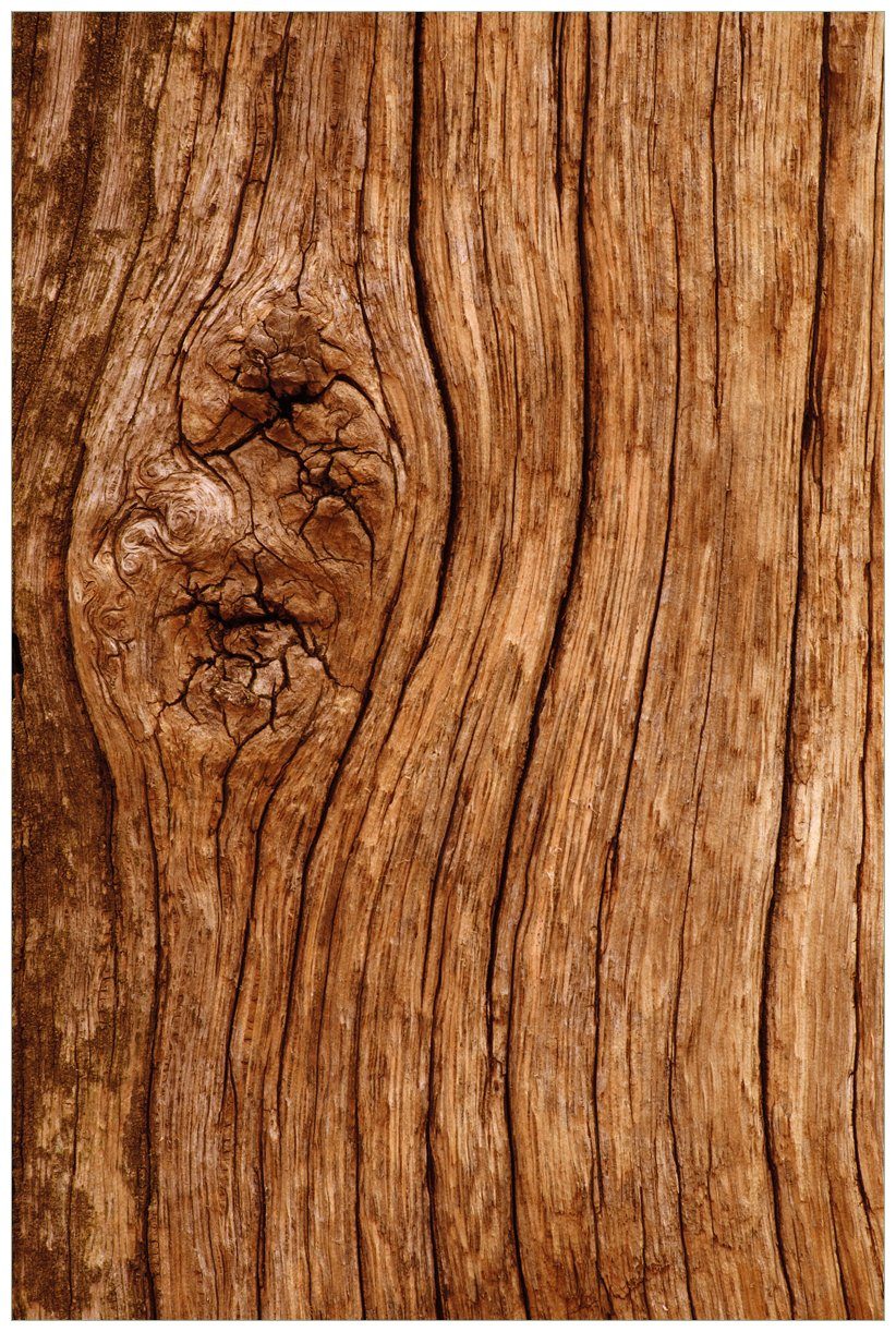 Wallario Wandfolie, Holzstamm mit Asteinschluss, in günstig online kaufen
