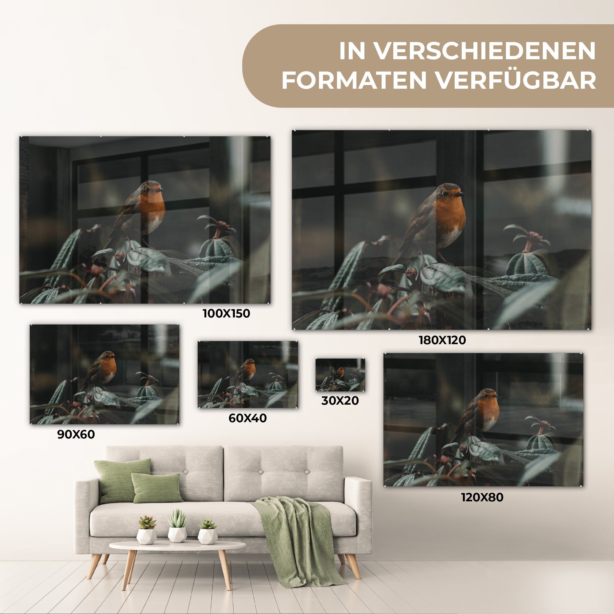 Pflanze, St), (1 - Acrylglasbilder Wohnzimmer Acrylglasbild Vogel MuchoWow - Schlafzimmer & Rotkehlchen